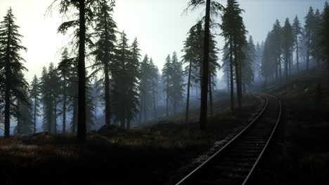 National-Forest-Recreation-Area-and-the-fog-with-railway